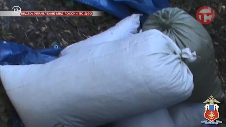 Полицейские Уссурийска обнаружили склад марихуаны