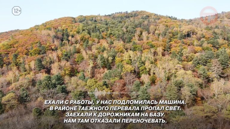 Медведь напал на автомобилиста в Приморье