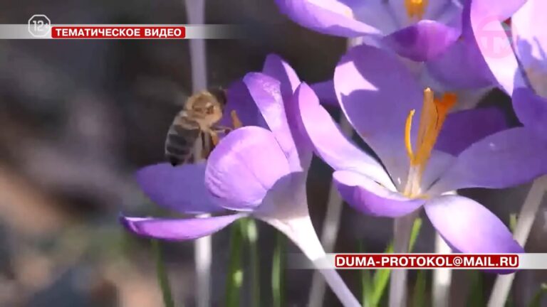 Принять участие в конкурсе «Я — житель Приморья!» приглашают Уссурийцев
