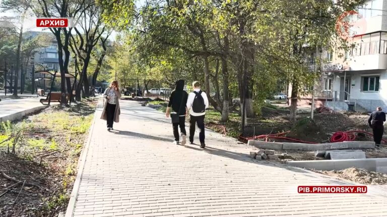 У уссурийцев появилась возможность сделать вклад в благоустройство города