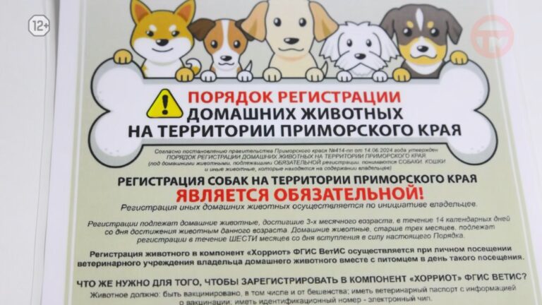 Чипировать или нет? Теперь это не вопрос, а прямая обязанность владельца