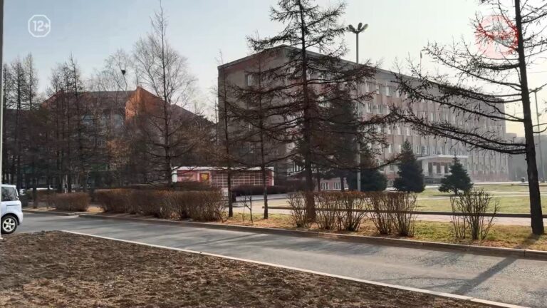 Осадков не ожидается — синоптики обещают выходные без снега в Уссурийске