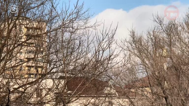Морозная неделя ожидает уссурийцев. Но осадков всё еще не предвидится
