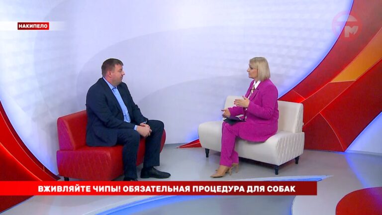 Накипело. 13.01.2025 Вживляйте чипы! Обязательная процедура для собак