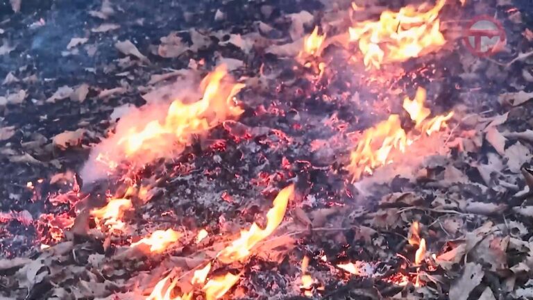Особые режимы — противопожарный и повышенной готовности — ввели в разных районах края