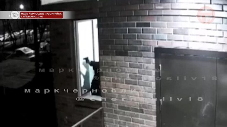 В тюрьму за стрельбу в подъезде отправится житель Уссурийска
