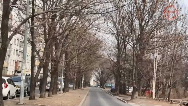 Тепло, но пасмурно будет в Уссурийске на этой неделе
