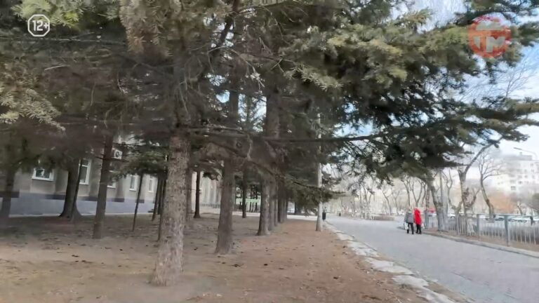 Облачно и пасмурно будет в Уссурийске. Синоптики опубликовали прогноз на эту неделю