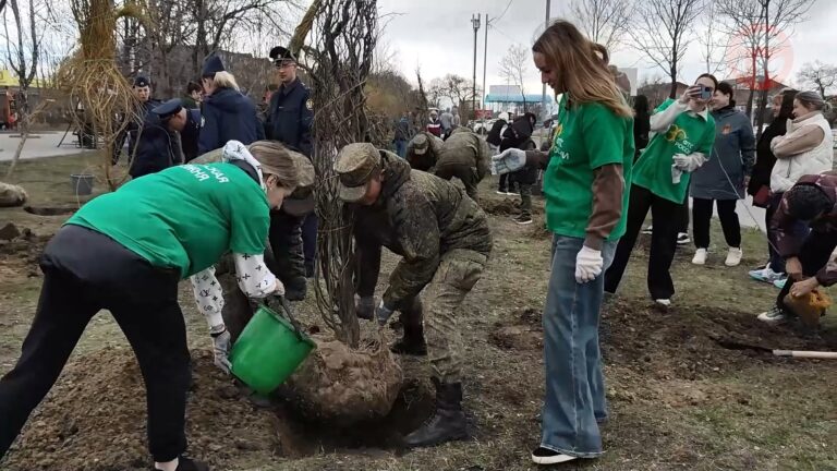 Молодые деревца появились в сквере имени Асапова