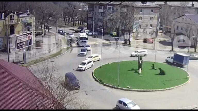 Страшная трагедия произошла на садовом кольце Уссурийска