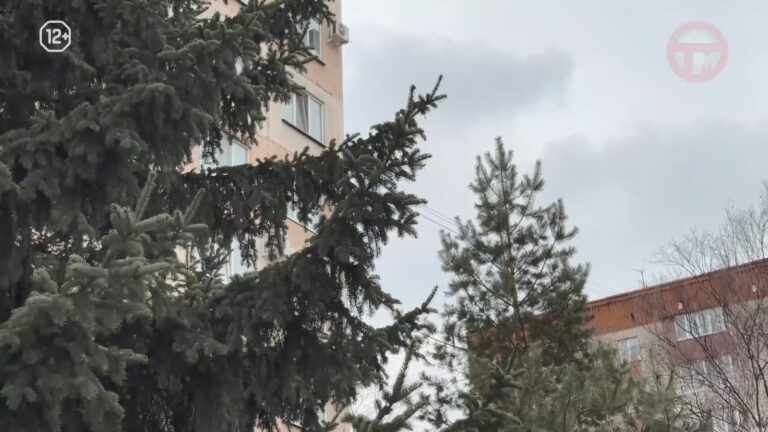 Первые апрельские выходные станут пасмурными в Приморье