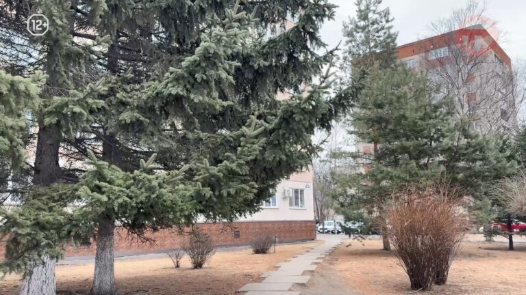 Тепло, но облачно будет на этой неделе в Уссурийске