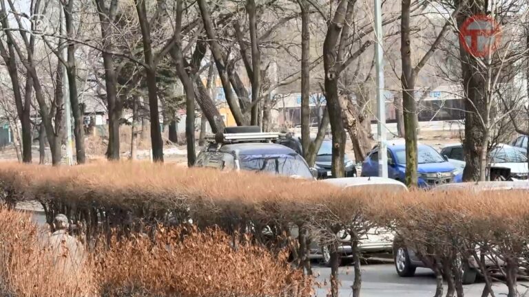 Штормовое предупреждение объявлено в Приморье