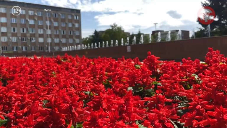 Дожди пришли в Приморье на новой неделе