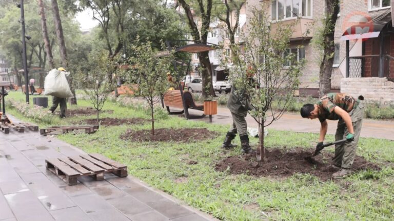 Сирень, яблони и гортензии появились в сквере на улице Плеханова