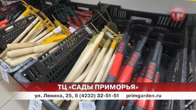 Всё своё. Свежие овощи, ягоды, зелень собирают дачники в Утёсном