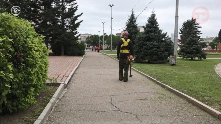 Содержать придомовые территории необходимо в чистоте