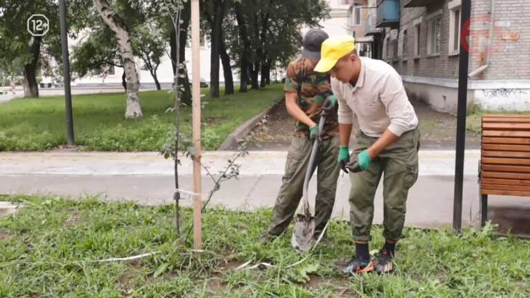 Озеленение бульвара по особой технологии
