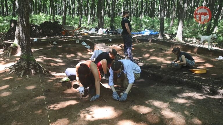 🏺 Сюрпризы из прошлого: приморские археологи нашли городище на 2 тысячи лет старше, чем думали