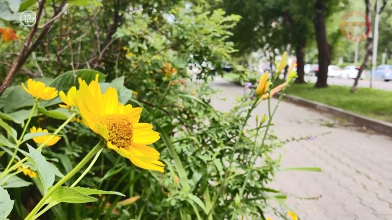 🌦 Погода в Приморье на выходных будет переменчивой