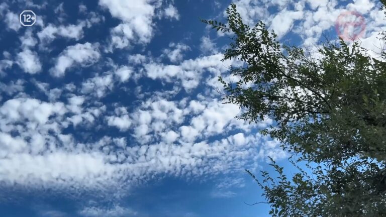 ☀️ От прохлады к жаре: Приморье ждёт переменчивая погода на неделе