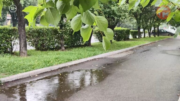 🌧 Штормовое предупреждение позади — погода наладилась в Уссурийске