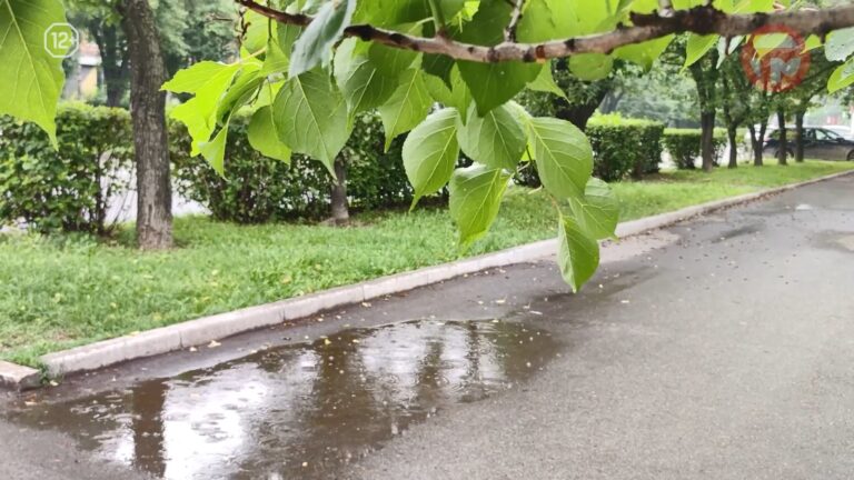 ⛈ Штормовое предупреждение: 22 августа на Приморье обрушатся ливни, грозы и град