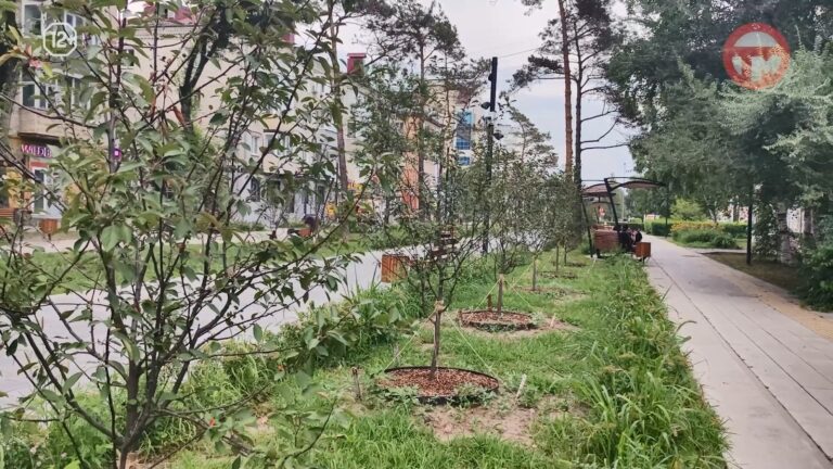 🌳 Новые скверы: В разных районах Уссурийска создают зоны отдыха и современные площадки