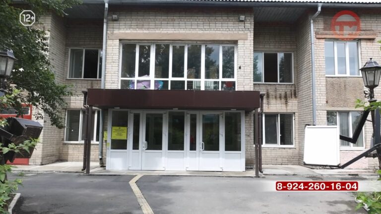 🚦 В Международный день светофора детям Доброполья напомнили о правилах дорожного движения