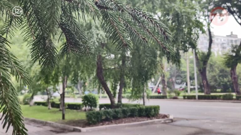 🌦 Дожди и жара: в Уссурийске ожидается переменчивая погода на неделе