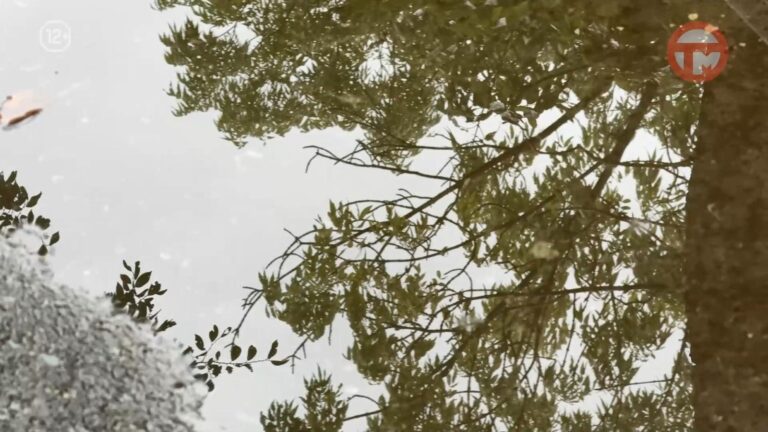 🌦 Синоптики рассказали о погоде в Приморье на выходные