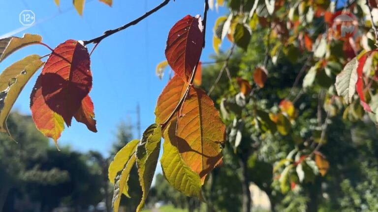 ☀️ В Приморье неделя начнётся с тепла и солнца, но к среде погода испортится