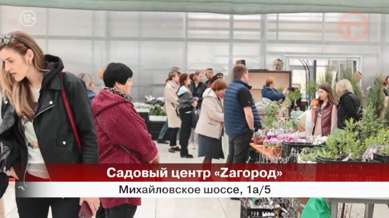 🌸 В Уссурийске пройдёт масштабный фестиваль гортензий