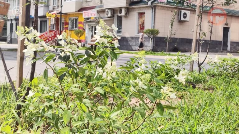 🌦 Неустойчивую погоду обещают в Уссурийске на этой неделе