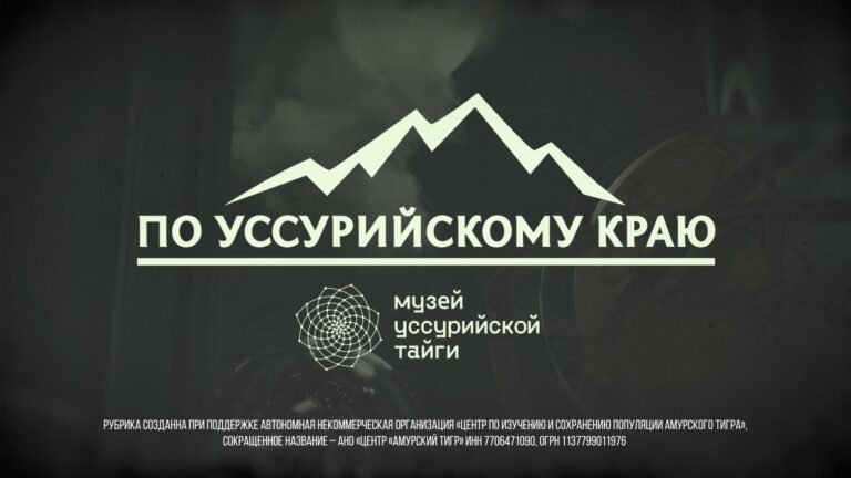 🍁 «По Уссурийскому краю». Осень в тайге.