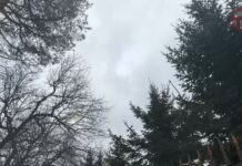 π¦ Π¦ΠΈΠΊΠ»ΠΎΠ½ ΡΡ
ΠΎΠ΄ΠΈΡ, Π² ΠΡΠΈΠΌΠΎΡΡΠ΅ ΠΏΠΎΡ
ΠΎΠ»ΠΎΠ΄Π°Π΅Ρ