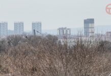 ☀️ Немного тепла припасла эта неделя для уссурийцев