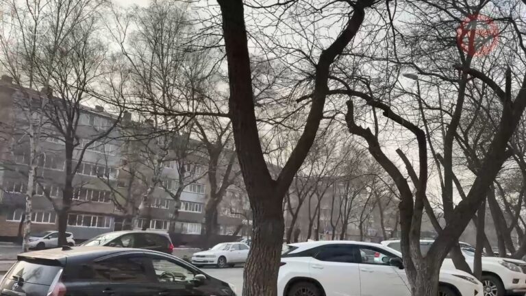 ☀️ Первые выходные зимы в Приморье будут тёплыми и довольно спокойными