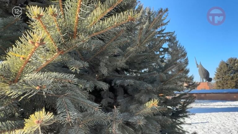 ❄️ Прогноз погоды на выходные в Приморье