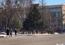 🌡 Погода в Приморье с 15 по 17 декабря