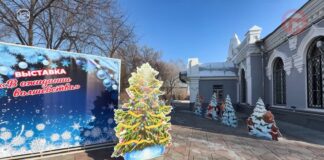 🎄 В уссурийском музее открылась интерактивная новогодняя выставка «В ожидании волшебства»