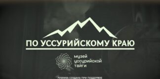 🐾 «По Уссурийскому краю». Чьи следы можно встретить в зимней тайге?