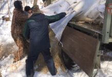 🦌 Подкормку диких животных и птиц проводят охотники Уссурийска