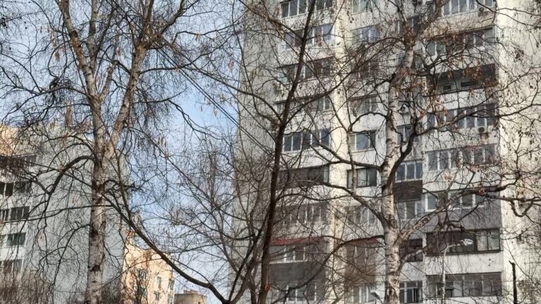 🌡 Без погодных сюрпризов завершится январь в Уссурийске
