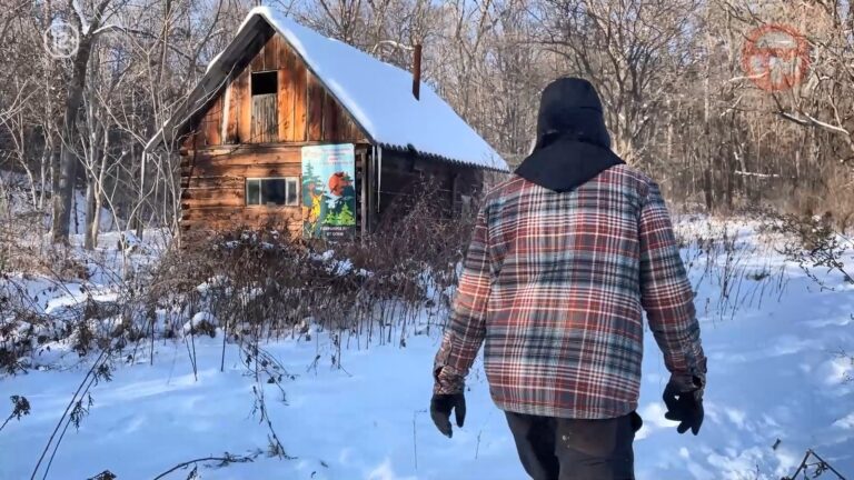 🌲 Сотрудники уссурийского заповедника профессиональный праздник отмечают на таежных тропах
