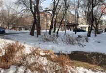 🌡 Морозы ослабеют, но всего на пару дней