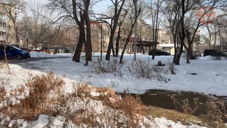 🌡 Морозы ослабеют, но всего на пару дней