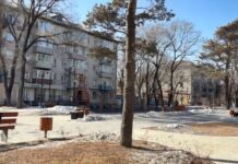 ☀️ Теплое начало и прохладное завершение — переменчивой будет погода на этой неделе в Уссурийске