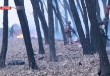 📸 Видеокамеры с элементами искусственного интеллекта появятся в Минлесхозе Приморья