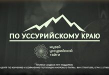 ⛰ «По Уссурийскому краю». Весенние записки таежного дневника.